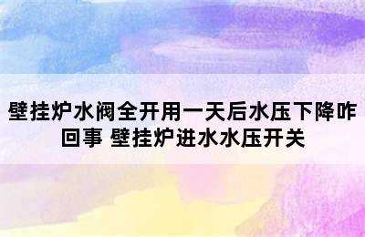 壁挂炉水阀全开用一天后水压下降咋回事 壁挂炉进水水压开关